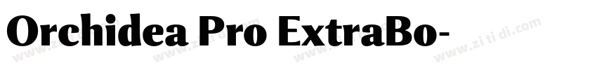 Orchidea Pro ExtraBo字体转换